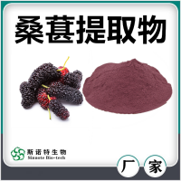 桑葚提取物 桑葚粉 水溶性好無沉淀 斯諾特生物