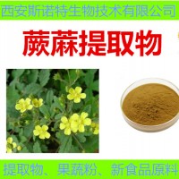 保健原料 蕨?提取物 蕨?粉 實(shí)力廠家 新貨包郵