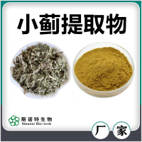 小薊提取物 小薊粉 水溶性好無(wú)沉淀 斯諾特生物