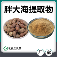胖大海提取物 胖大海粉 水溶性好無沉淀 斯諾特生物