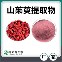 山茱萸提取物 山茱萸粉 水溶性好無沉淀 斯諾特生物
