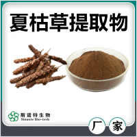 夏枯草提取物 夏枯草粉 水溶性好無(wú)沉淀 斯諾特生物