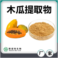木瓜提取物 木瓜粉 水溶性好無沉淀 斯諾特生物