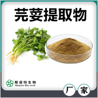 芫荽提取物 芫荽粉 水溶性好無(wú)沉淀 斯諾特生物