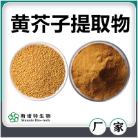 黃芥子提取物 黃芥子粉 水溶性好無沉淀 斯諾特生物