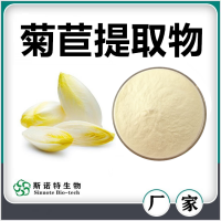 菊苣提取物 菊苣粉 水溶性好無沉淀 斯諾特生物