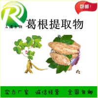 葛根濃縮粉 葛根速溶粉10:1藥食同源速溶粉食品原料廠家
