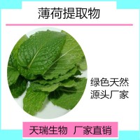 薄荷粉 薄荷速溶粉藥食同源食品原料廠家
