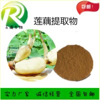 藕節粉 蓮藕粉 藕粉天瑞生物廠家現貨