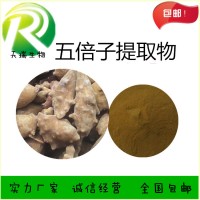 五倍子粉 五倍子浸膏天瑞植提廠家規格可定制