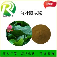 荷葉堿 荷葉提取物廠家天瑞生物 一公斤起訂