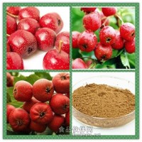 山楂粉 山楂提取物 山楂浸膏 廠家現貨