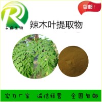 辣木葉粉 辣木葉提取物新資源食品原料