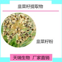 韭菜籽提取物 韭菜籽粉廠家現(xiàn)貨包郵
