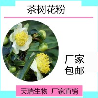 茶樹花提取物 10:1 茶樹花速溶粉現貨廠家
