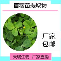 苜蓿提取物 苜蓿粉 天瑞現貨供應