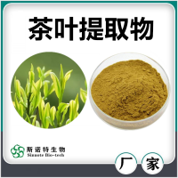 茶葉提取物 斯諾特生物供應(yīng)茶葉茶氨酸