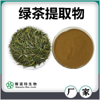 綠茶提取物 斯諾特生物自產(chǎn)自銷綠茶兒茶素綠茶粉