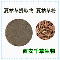水溶性夏枯草提取物夏枯草粉供應(yīng)多規(guī)格夏枯草濃縮原液
