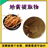 地黃提取物 新食品原料  地黃濃縮粉