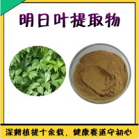 明日葉汁粉  提供三方外檢報告  明日葉提取物
