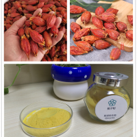 梔子提取物 可來廠參觀  梔子濃縮粉