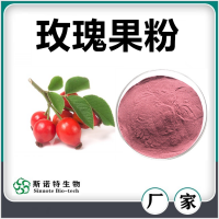 玫瑰果粉 噴霧干燥玫瑰果速溶粉 速溶粉濃縮汁 廠家供應