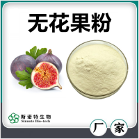 無花果粉 噴霧干燥無花果速溶粉 速溶粉濃縮汁 廠家供應(yīng)