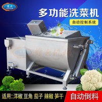 多功能洗菜機(jī) 大型自動(dòng)倒料清洗機(jī) 豆角辣椒蔬菜清洗設(shè)備