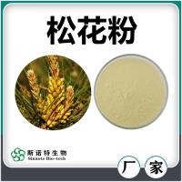 松花提取物 噴霧干燥松花粉 濃縮萃取 廠家供應