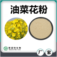 油菜花粉 噴霧干燥油菜花速溶粉 濃縮萃取 廠家供應