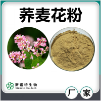 蕎麥花提取物 噴霧干燥蕎麥花粉 濃縮萃取 廠家供應