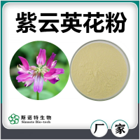 紫云英花粉 噴霧干燥紫云英花速溶粉 濃縮萃取 廠家供應