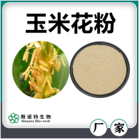 玉米花粉 噴霧干燥玉米花速溶粉 濃縮萃取 廠家供應
