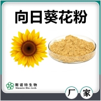 向日葵花粉 噴霧干燥向日葵花速溶粉 濃縮萃取 廠家供應