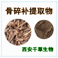 水溶性骨碎補提取物骨碎補浸膏粉 供應骨碎補濃縮原液