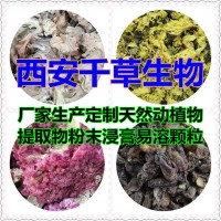 路旁菊提取物路旁菊浸膏 定制水溶性路旁菊濃縮粉