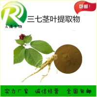 三七葉提取物 三七葉子粉天瑞生物