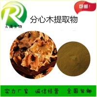 分心木提取物 核桃分心木提取物天瑞植提廠家規格可定制