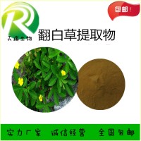 翻白草提取物 翻白草粉天瑞植提廠家規格可定制