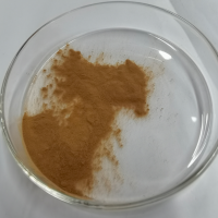 竹葉提取物提取竹葉黃酮24%