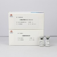 大腸埃希氏菌CMCC(B)44102（定量）