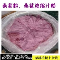 桑葚粉  桑葚濃縮粉  桑葚提取物
