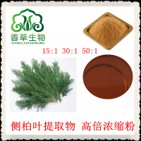 側(cè)柏葉提取物 側(cè)柏葉粉 濃縮浸膏粉 柏葉提取液 柏子仁粉