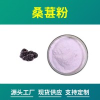 桑葚粉 桑葚提取物 支持定制 水溶性粉末 固體飲料原料