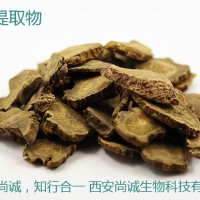 大黃提取物