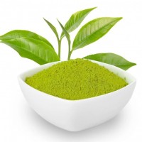 綠茶提取物供應(yīng)