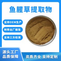 魚腥草粉 魚腥草提取物 支持定制 水溶性粉末 固體飲料原料