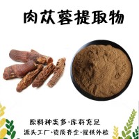 肉蓯蓉提取物  松果菊苷10%  肉蓯蓉粉