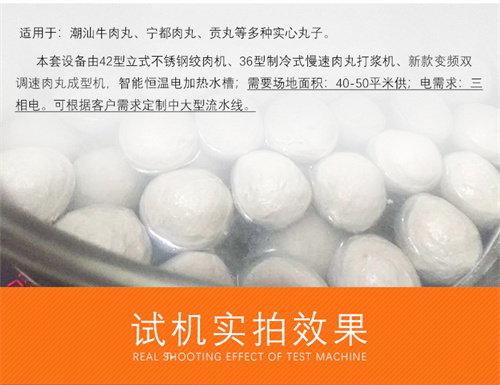 中型肉丸機設備